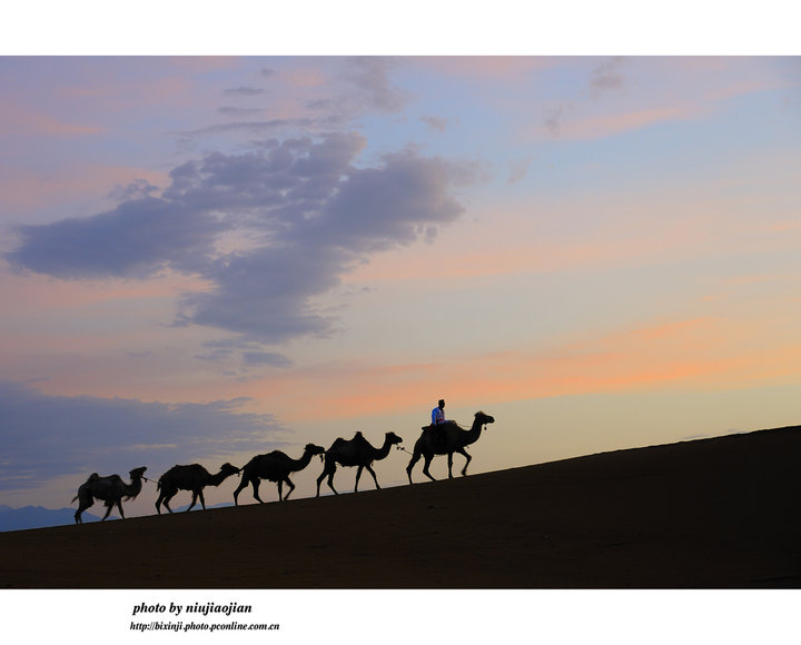 【沙漠驼铃摄影图片】鄯善县库木塔格沙漠风光
