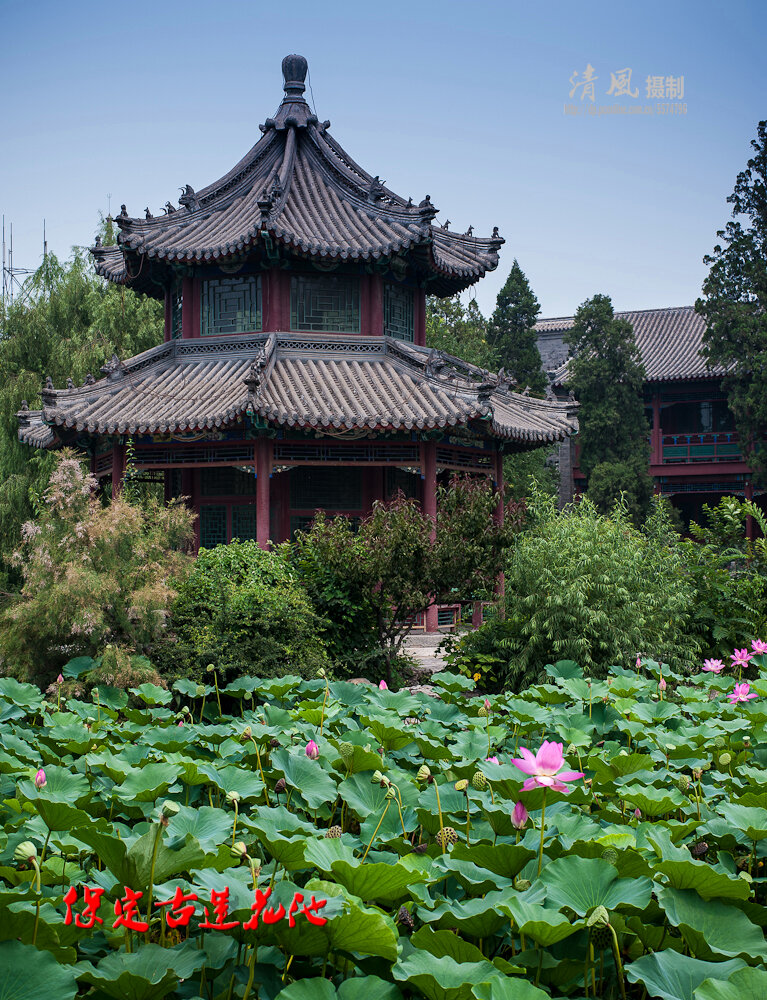 【保定古莲池摄影图片】保定古莲花池风光摄影_清风的博客_太平洋电脑