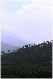 蒙山－明光寺风景