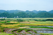 田园小景