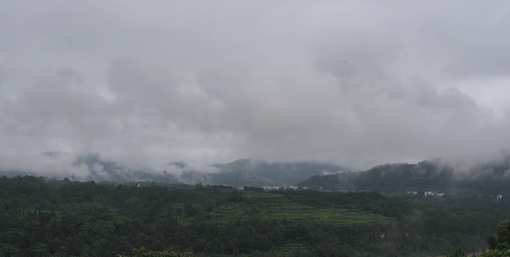 日照灵山生紫烟