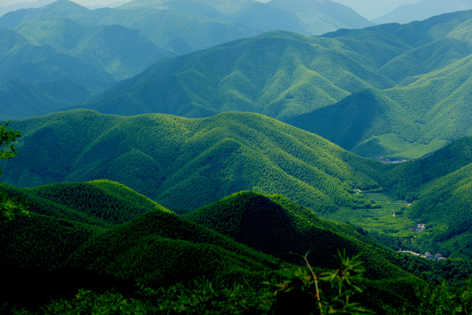 莫干山风景区景点高清图片下载-正版图片500357945-摄图网