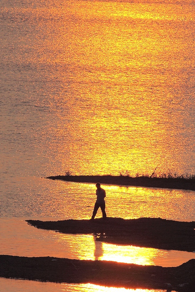 最美不过夕阳红