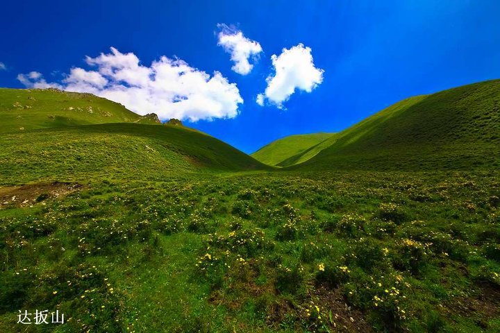 【达坂山观景摄影图片】青海 海北州风光旅游