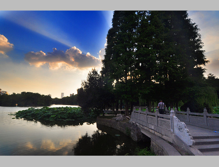 包河夏景