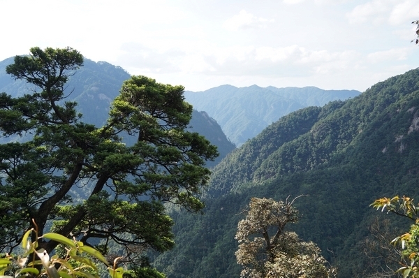 莽山鬼子寨