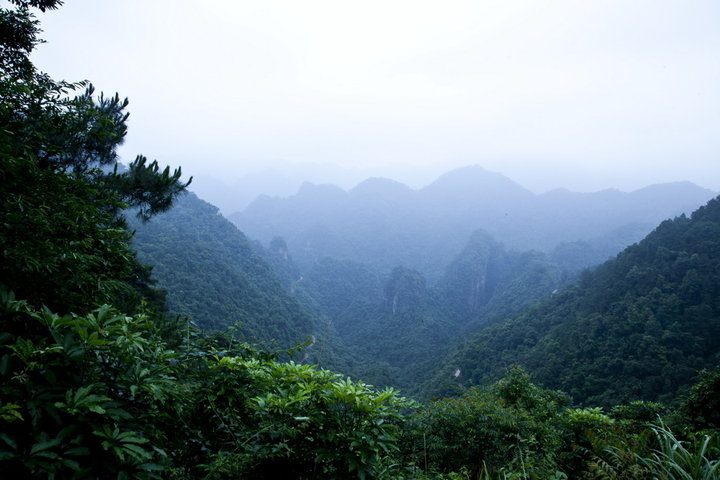 桂平-龙潭国家森林公园