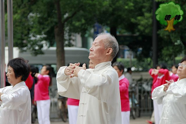 【五禽戏摄影图片】八一广场纪实摄影