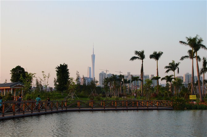 广州海珠湖风景