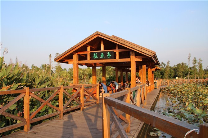 广州海珠湖风景