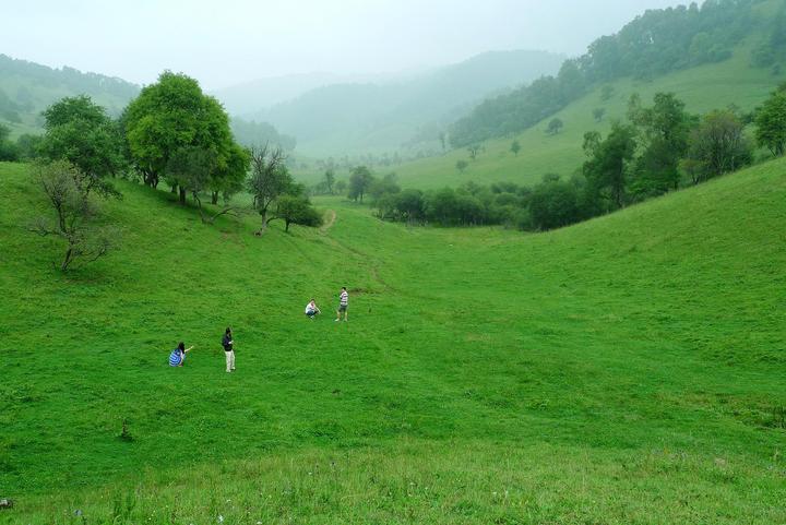 关山牧场