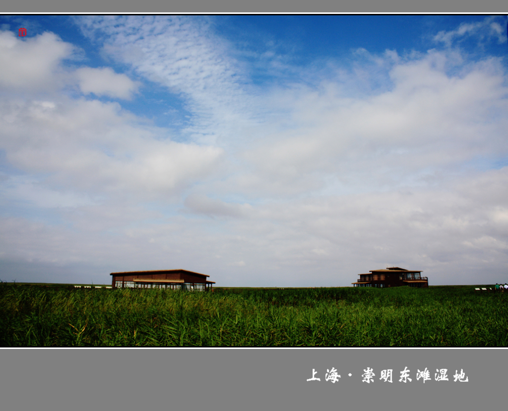 【上海·崇明东滩湿地摄影图片】上海 崇明岛风光摄影