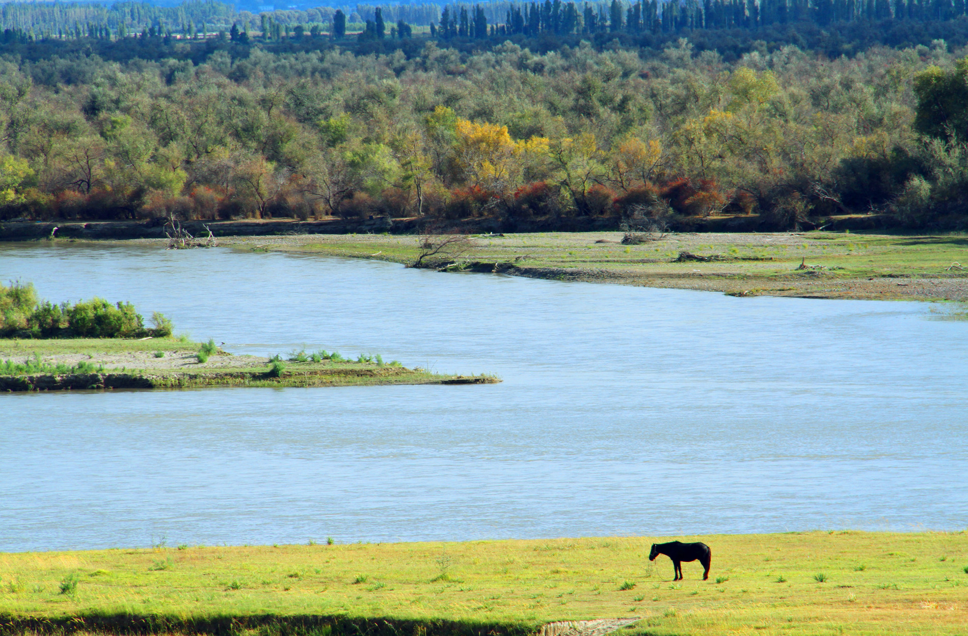 河谷湿地生态美——伊犁美景入画来（十）