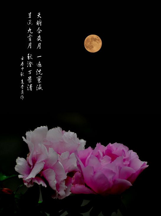 花好月圆