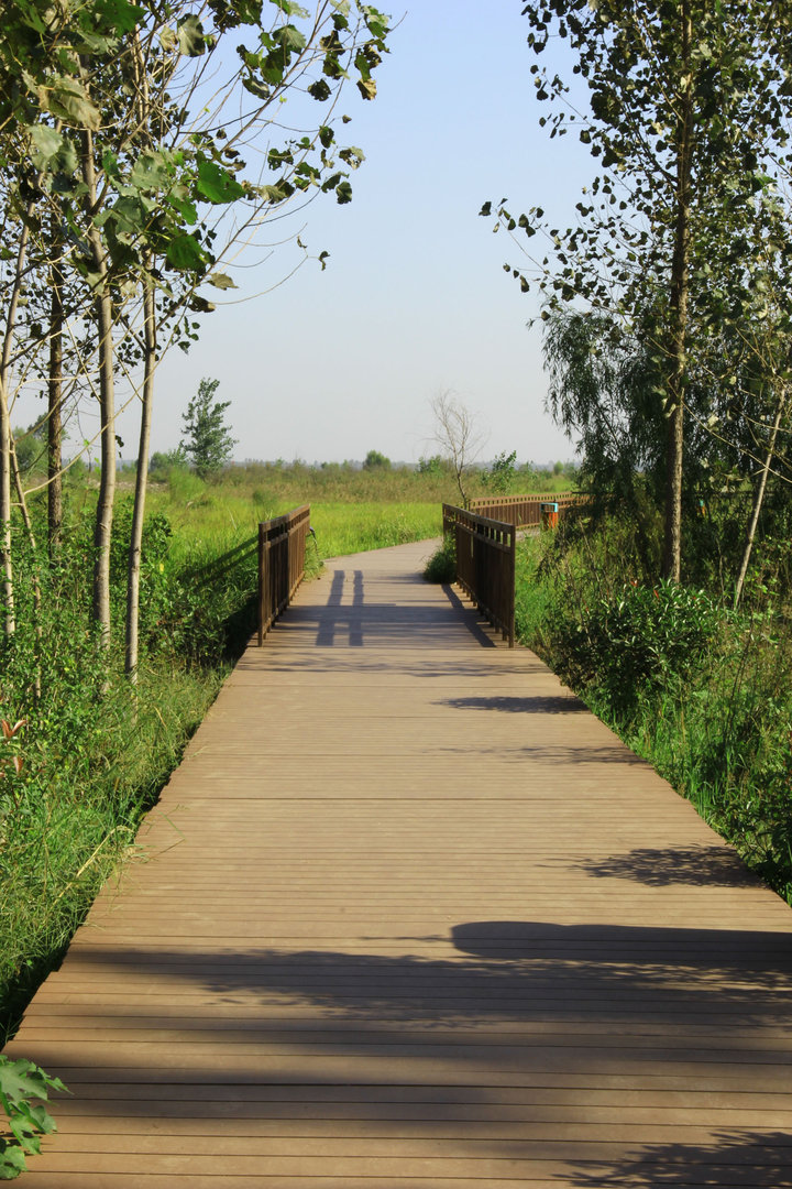 【美丽的湿地公园摄影图片】惠济区黄河国家湿