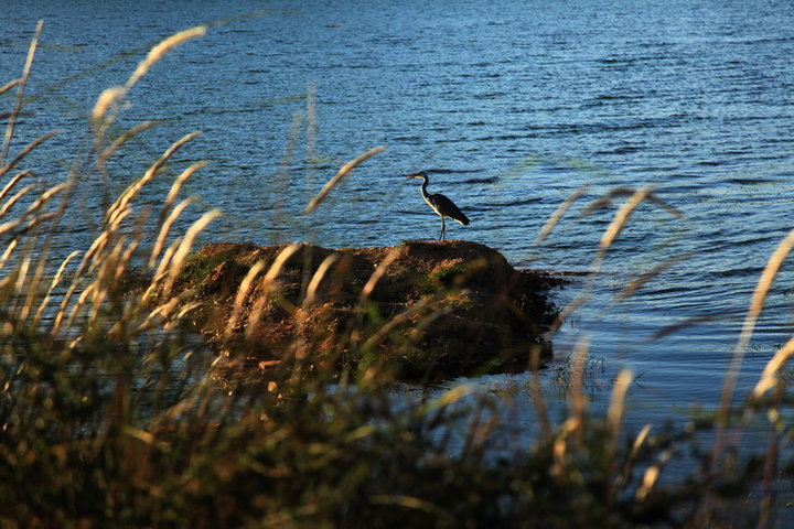 【云南曲靖海峰湿地摄影图片】云南曲靖风光旅