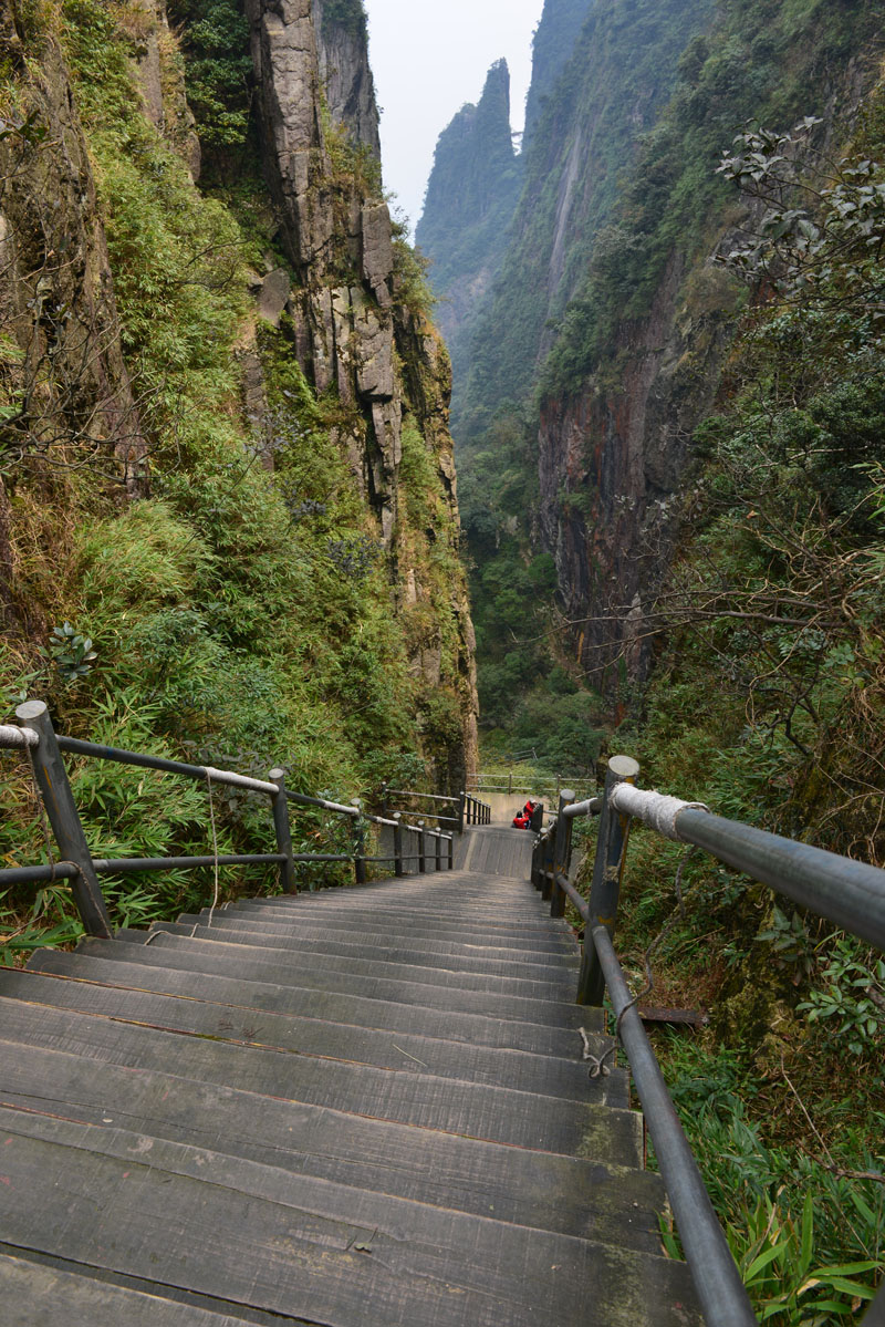 天台山--莽山风光系列