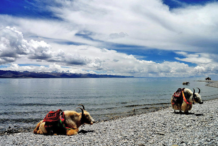 【西藏圣湖~纳木措!摄影图片】西藏风光旅游摄