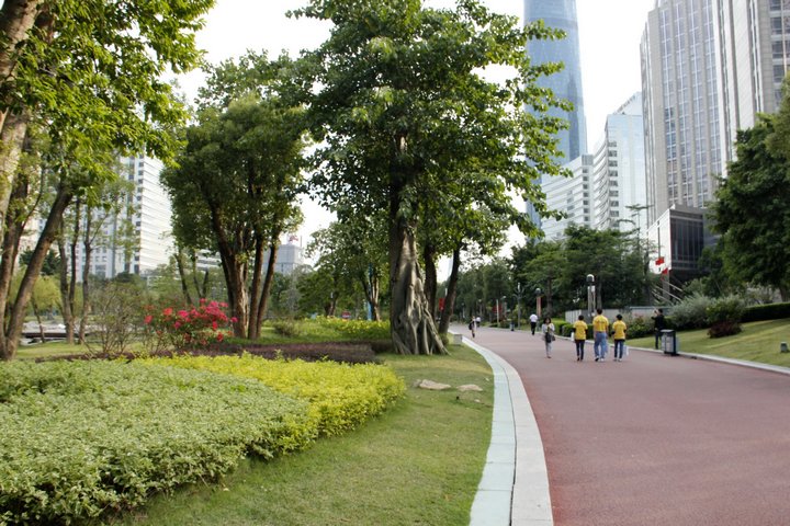 秋日广州街景