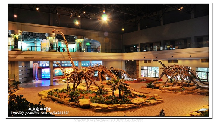 单眼看世界】【2012.10.30】自贡恐龙博物馆摄