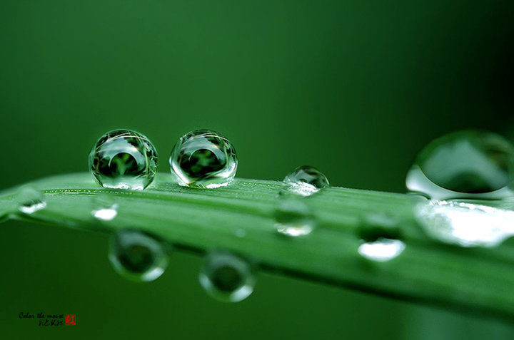 雨露