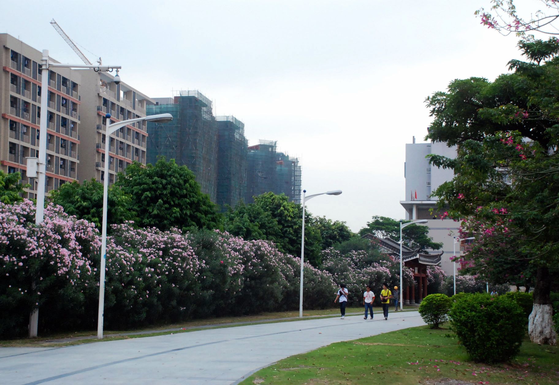 路边风景