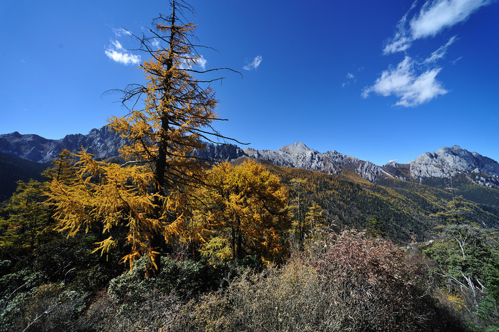 大小雪山风光