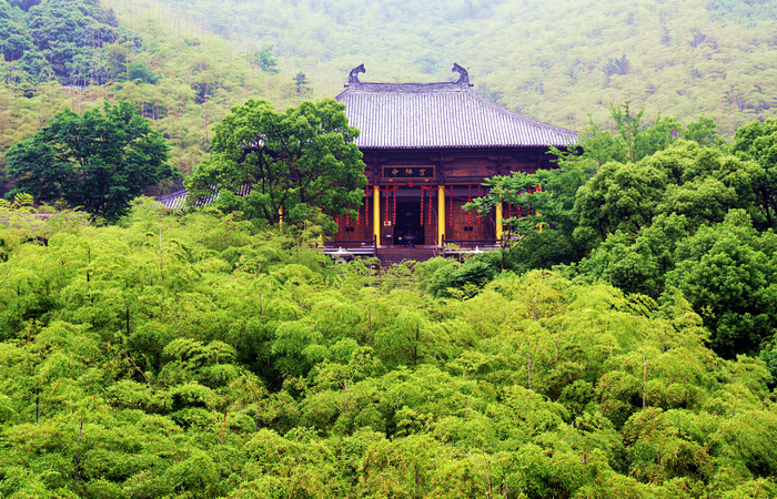 大唐贡茶院