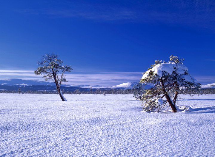 冰天雪地