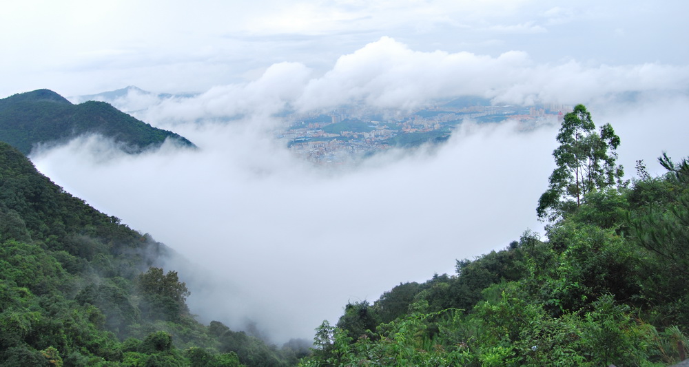 雾锁观音山