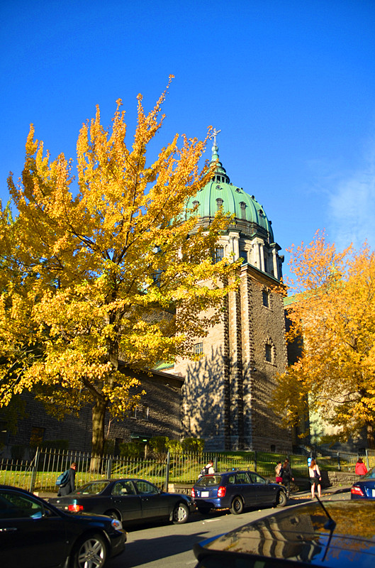 蒙特利尔(montreal)