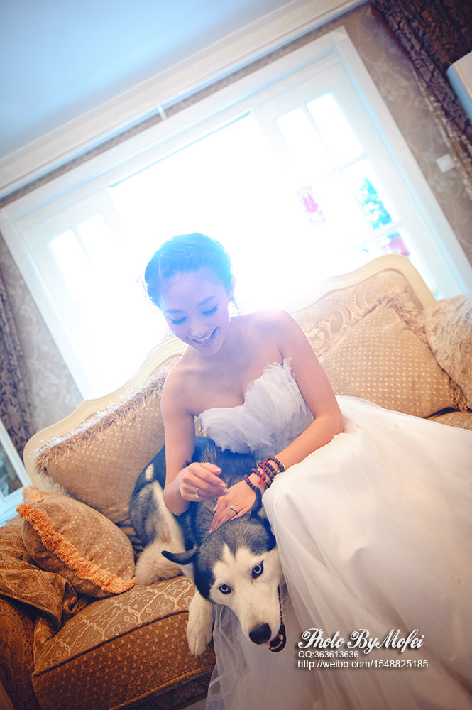 【婚礼】【莫非】-btv主持人刘婧-华彬庄园婚礼