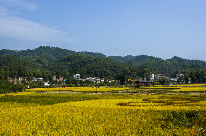 美丽的小山村(共 8 p)