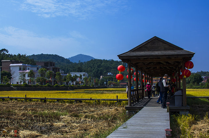 美丽的小山村(共 8 p)