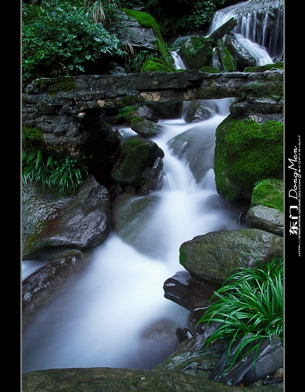 小溪流水