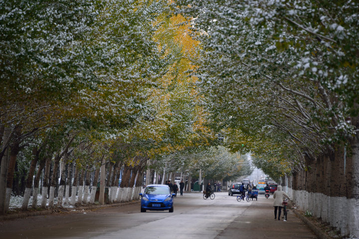 【2012年的初雪摄影图片】宝泉岭风光旅游摄