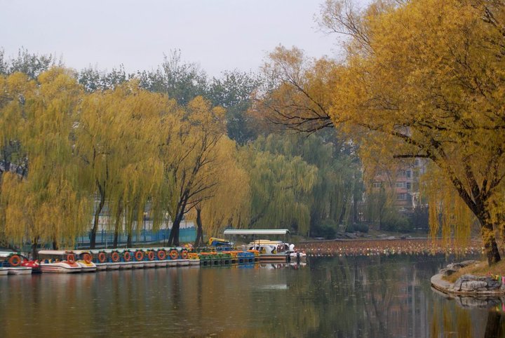【冬游北京第一站--青年湖公园摄影图片】北京