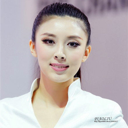 【2012 第八届长沙国际车展摄影图片】长沙人