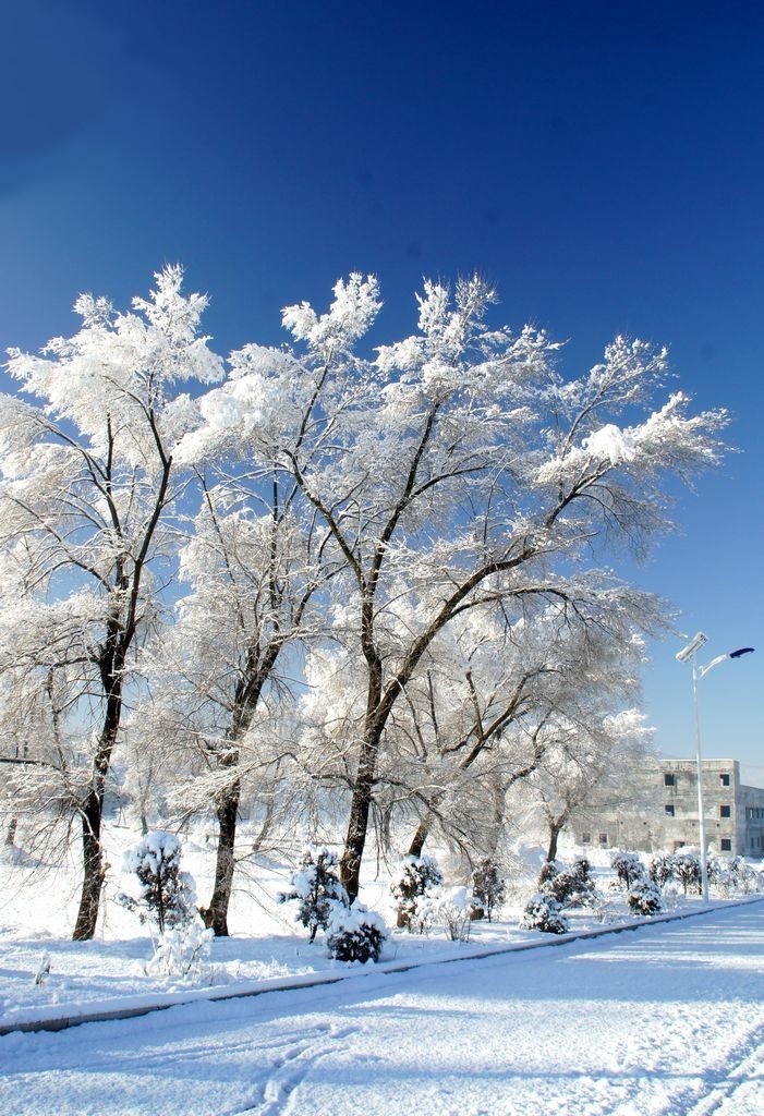 雪色山乡整理片