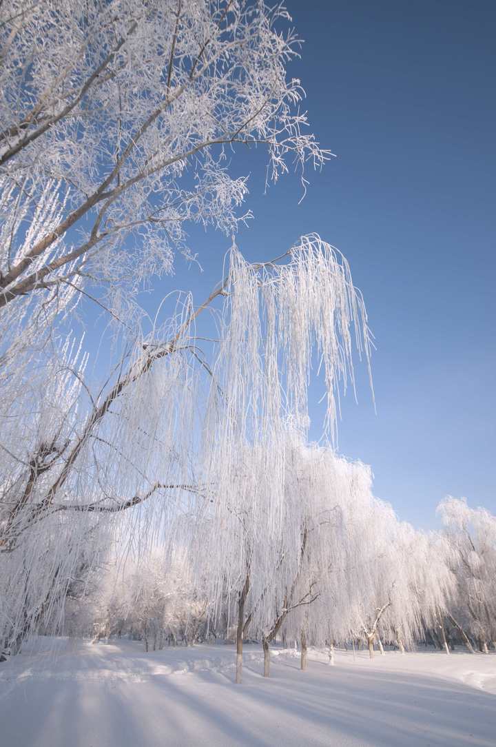 【冬天的童话摄影图片】新疆伊犁生态摄影_山