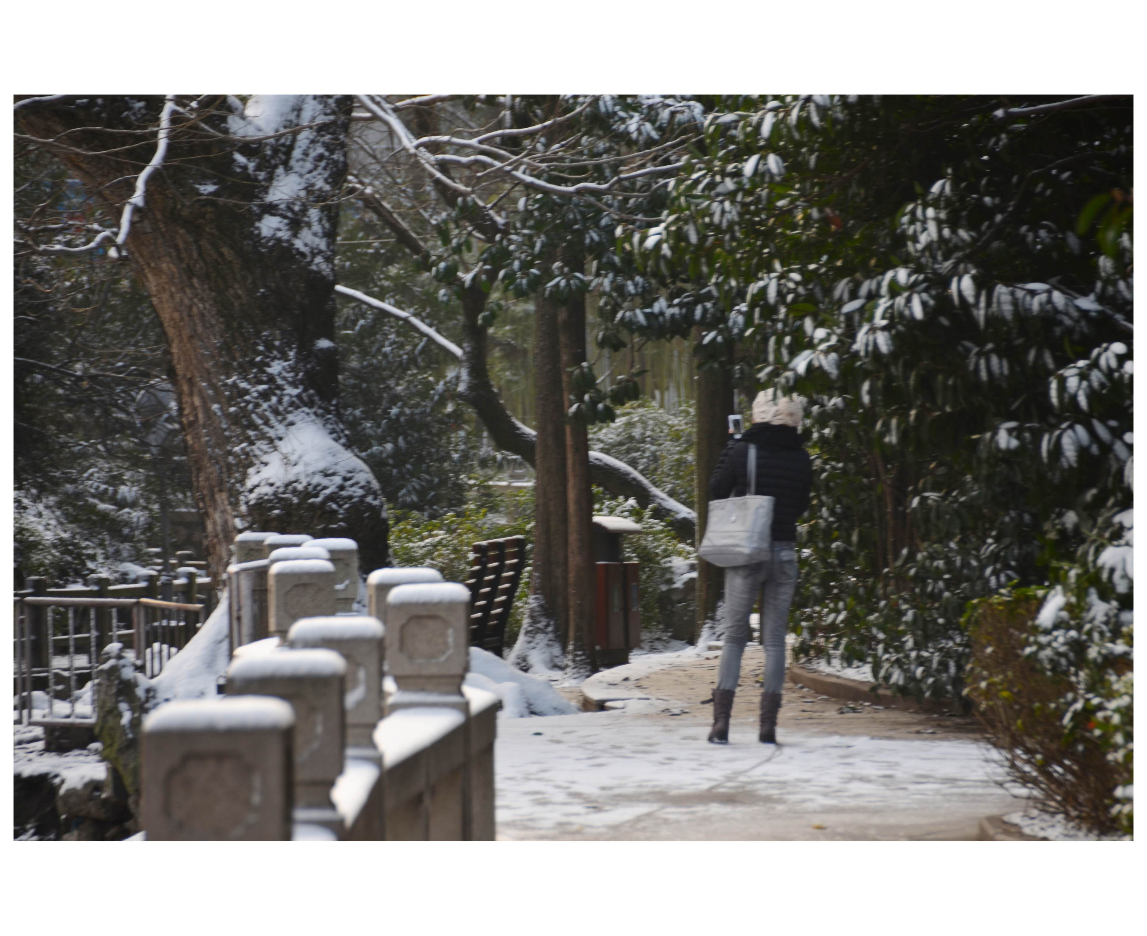 【雪中景摄影图片】孔庙外景风光摄影_江南烟雨客_网