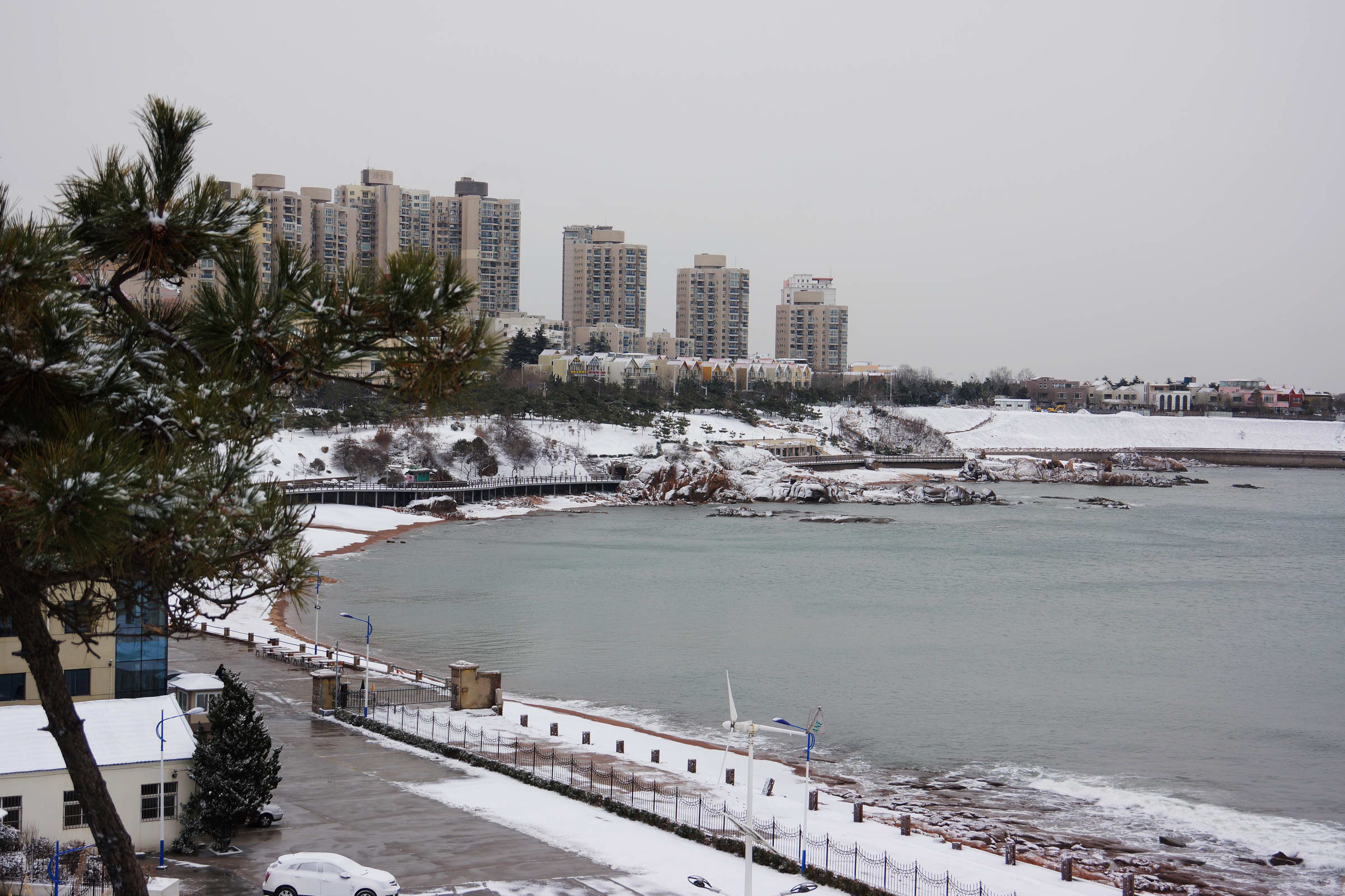 【海韵雪情【16】摄影图片】青岛东海路海滨风光摄影