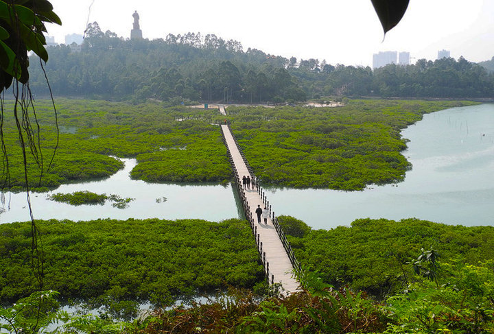 "孙中山与钦州港"