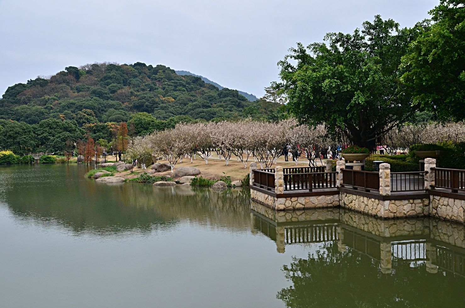 满园春色——2012广州萝岗香雪节