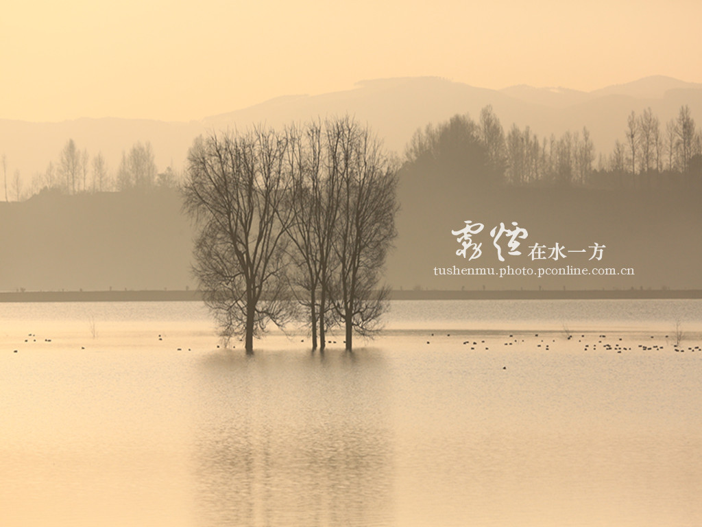 轻纱*在水一方