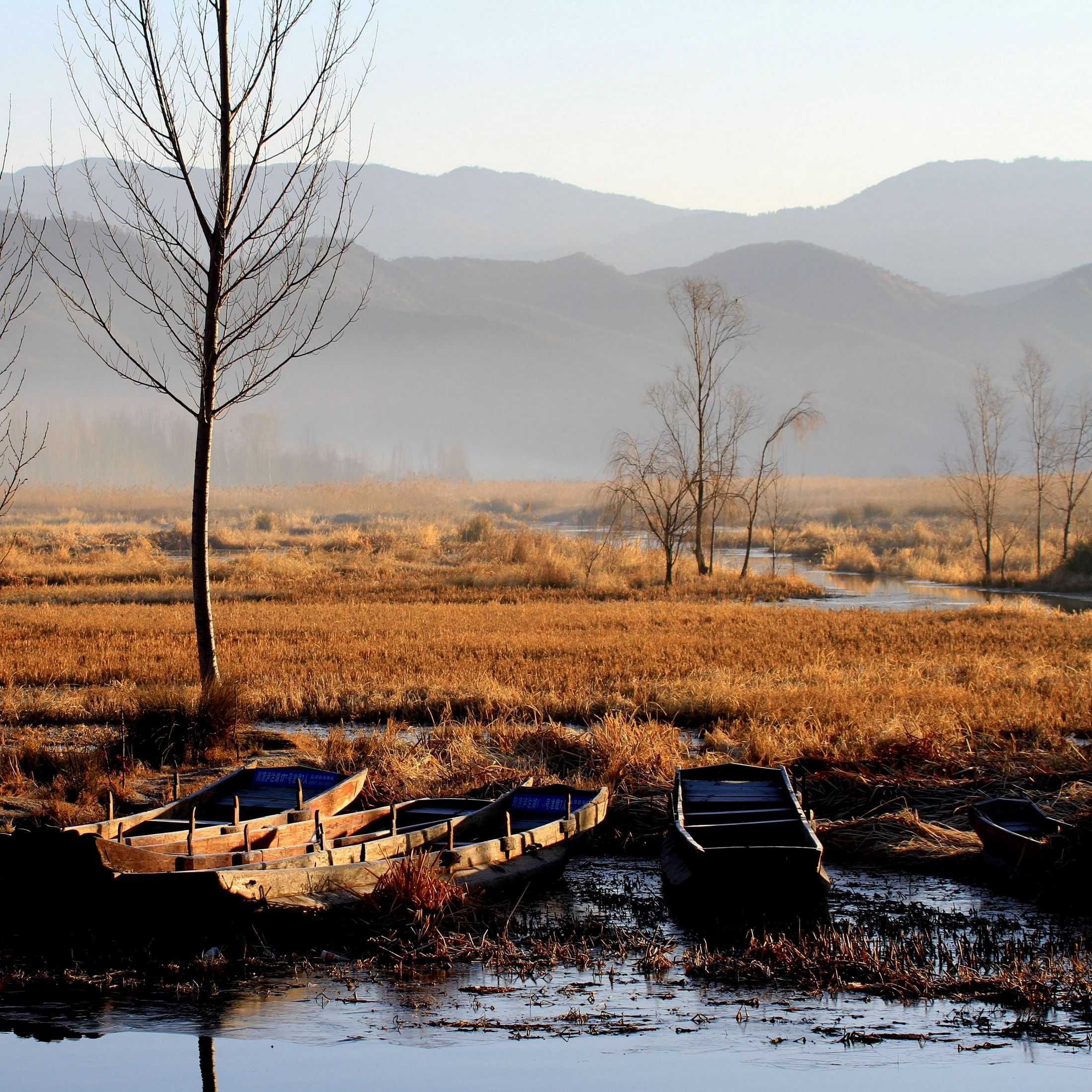 【风光摄影】内蒙古坝上草原 - 自然之声