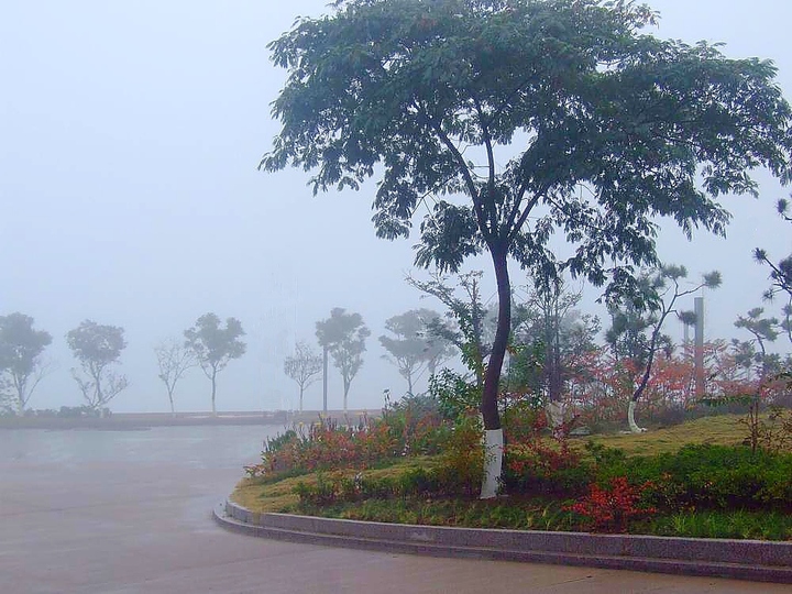 【这雨这雾这窗外的秋摄影图片】连云港连岛生