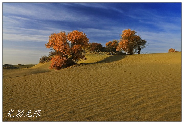 【阿拉尔沙漠胡杨摄影图片】阿拉尔沙漠公路风