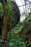 平远五指山