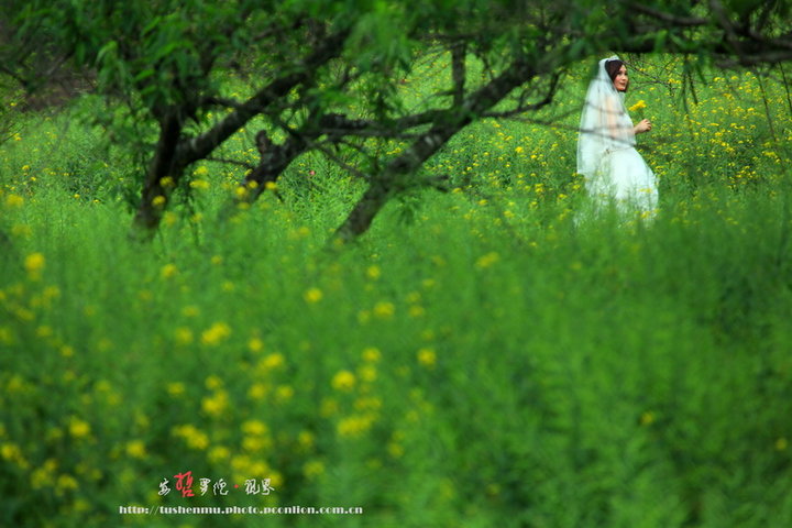 【女人如花花似梦摄影图片】广州石门森林公园
